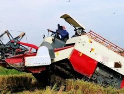 Alsintan Kelompok Sipatuo II Diduga Diselewengkan, Dipakai Pribadi dan Disewakan ke Luar Kelurahan, Aktivis Wajo Angkat Bicara