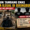 Tambang Emas Diduga Berjalan Mulus, Pertanyaan Besarnya: Siapa yang Melindungi?