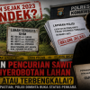 Kasus Dugaan Pencurian Sawit di Konsel Mengendap? Pelapor Tagih Kepastian Hukum