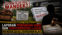 Kasus Dugaan Pencurian Sawit di Konsel Mengendap? Pelapor Tagih Kepastian Hukum